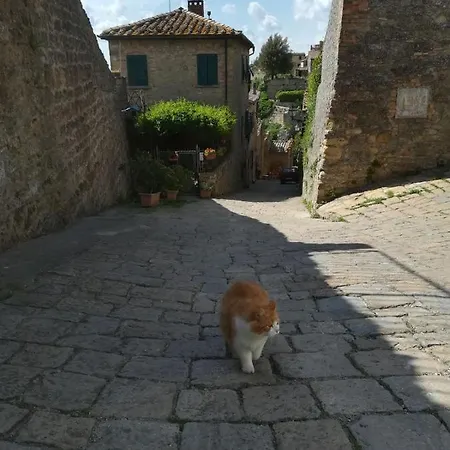 Vicolo Dei Ciliegini, 10 Appartamento *
